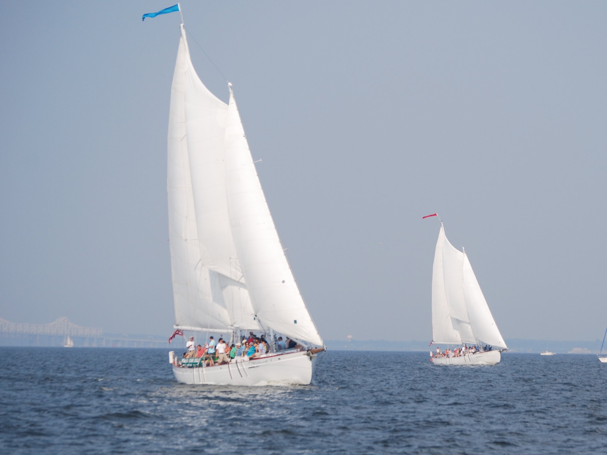 Schooner Woodwind racing Woodwind II on the Chesapeake Bay