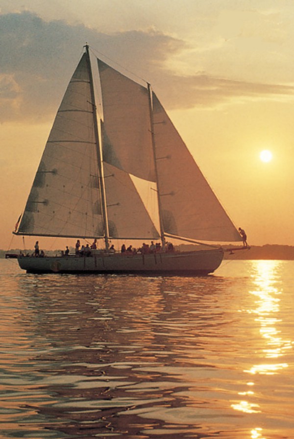 Schooner Woodwind Sailing in Annapolis at Sunset