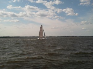 Trimaran sailing the Chesapeake, way faster than the Woodwind