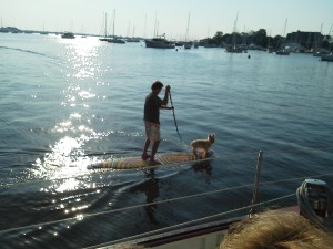 Paddle Boarding with your dog in Annapolis