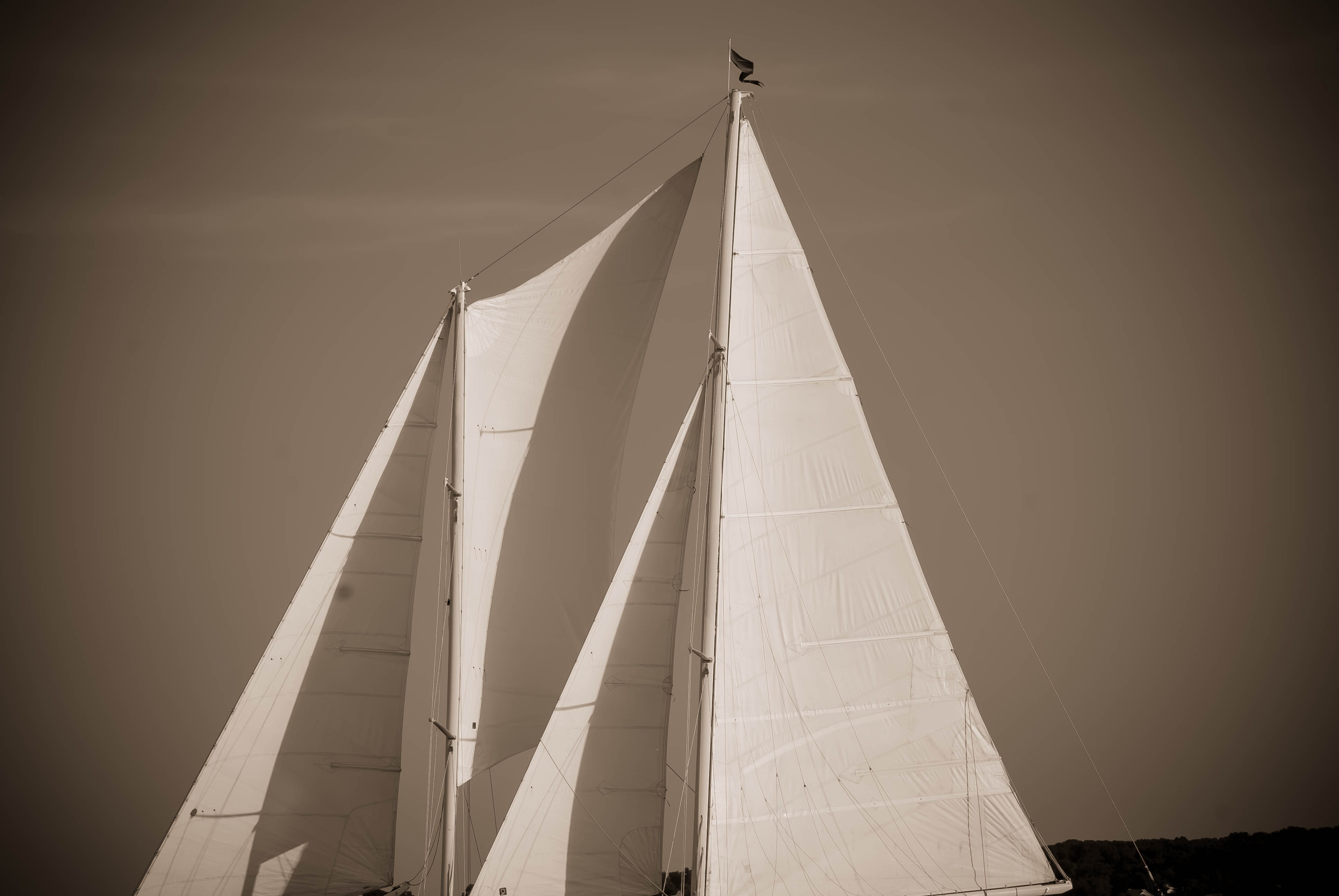 Black and white sails and sky