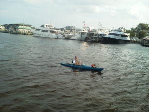 Talented kayaker with a Jack Russell on the bow 