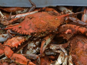 Sailing to Cantler's to enjoy a Maryland Crabfeast