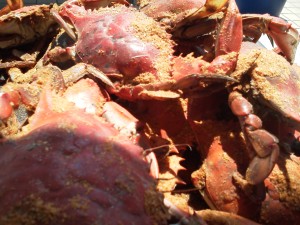 Yummy crabs from Cantler's