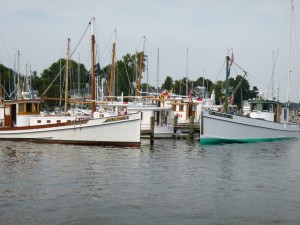 Chesapeake Buy Boat Rendezvous at the Annapolis Maritime Museum