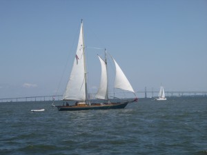 Local Boats on the bay