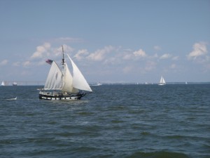 Fun Boats on the Bay