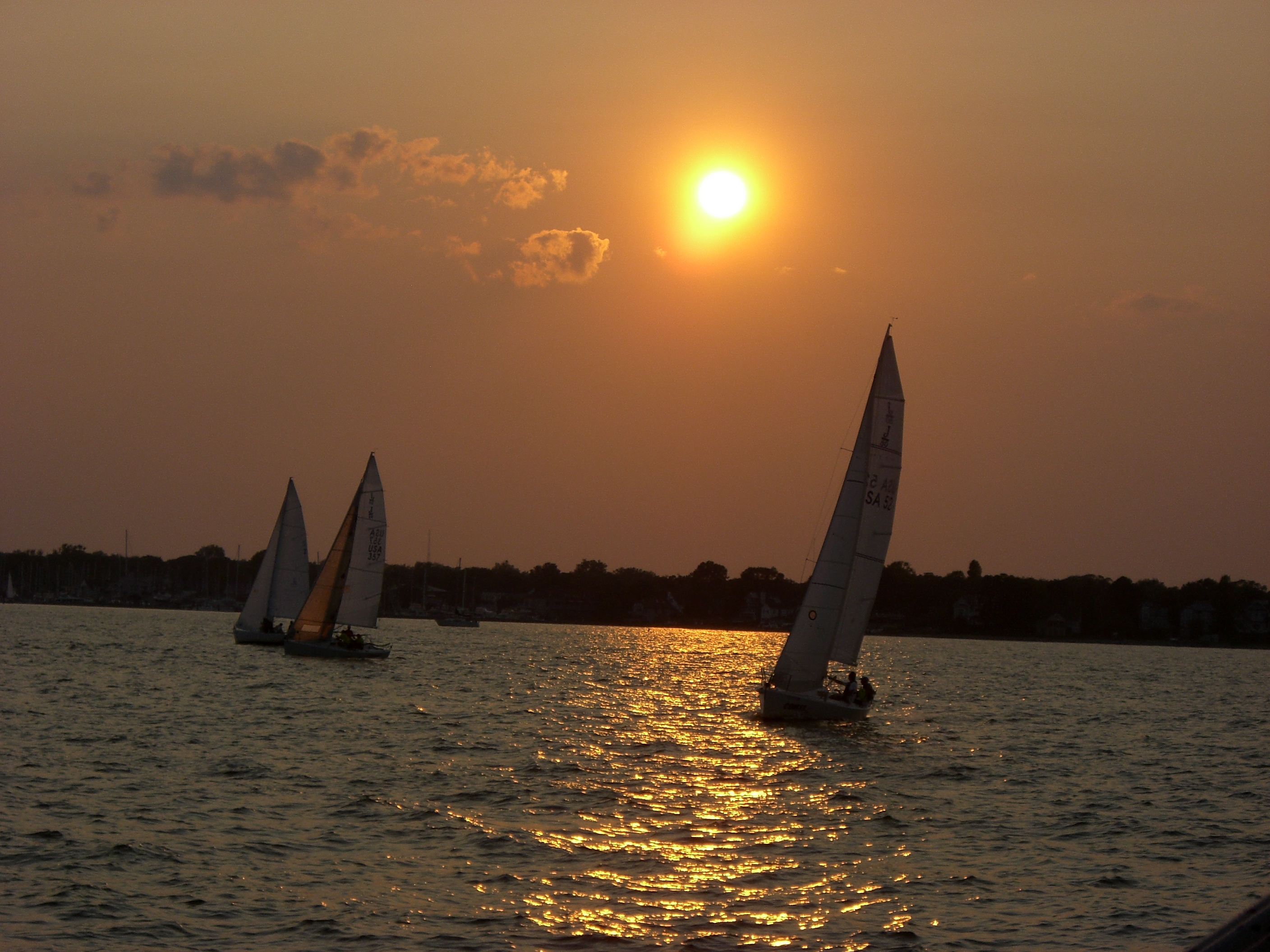 Sails in the golden sunset