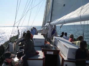 A Fun Day of sailing on the Woodwind