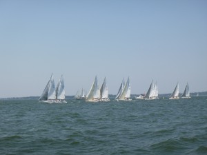 Race start for the J-105 fleet for the Hospice Cup in Annapolis