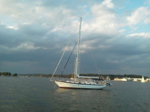 Golden glow of the sun as we sailed out of the Severn River.