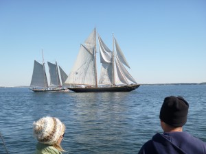 Lady Maryland and Virginia trying to get to the start line