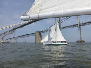 Sailing under the Bay Bridge