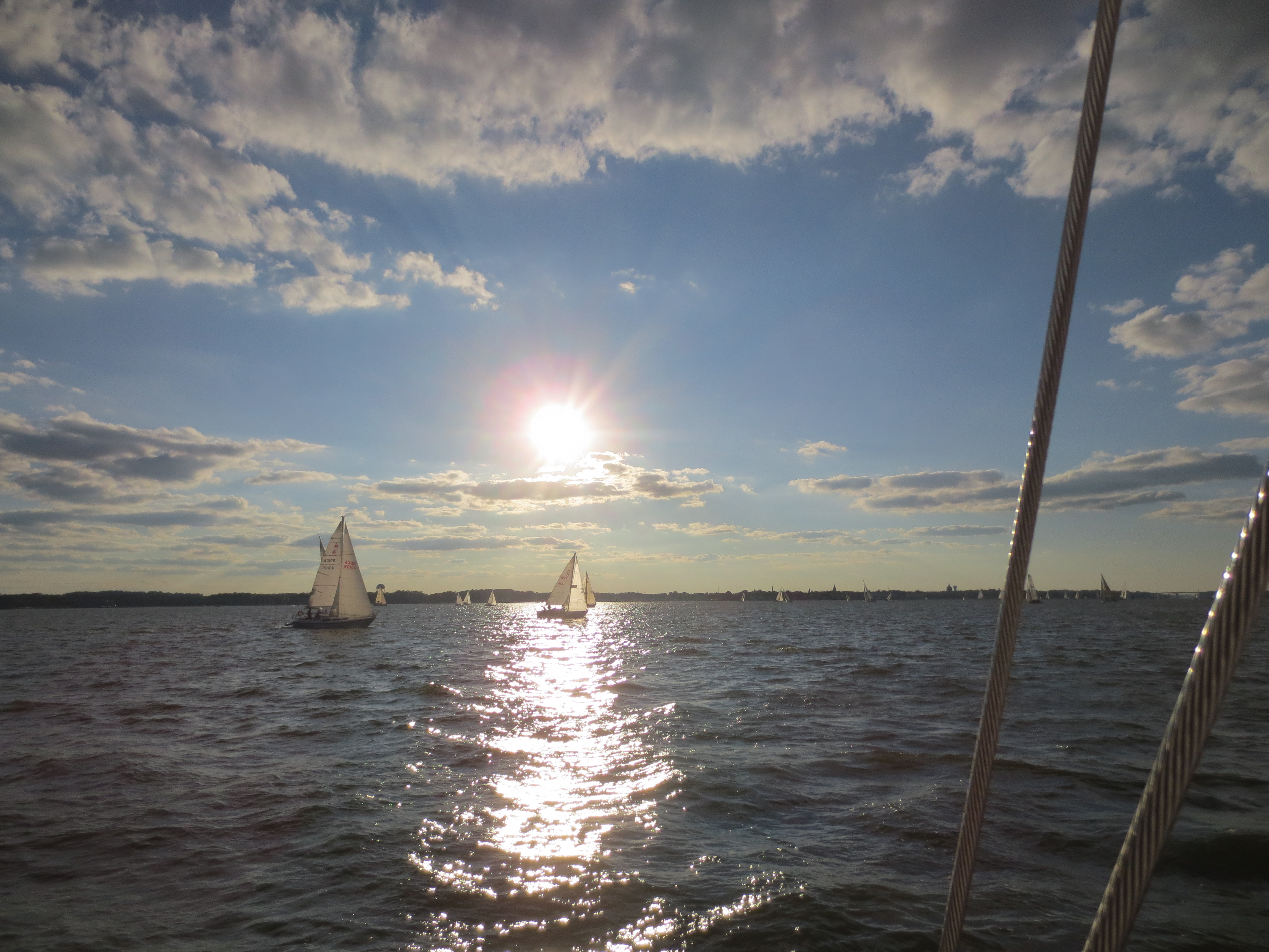 Sun reflecting on Chesapeake waters with sailboats everywhere