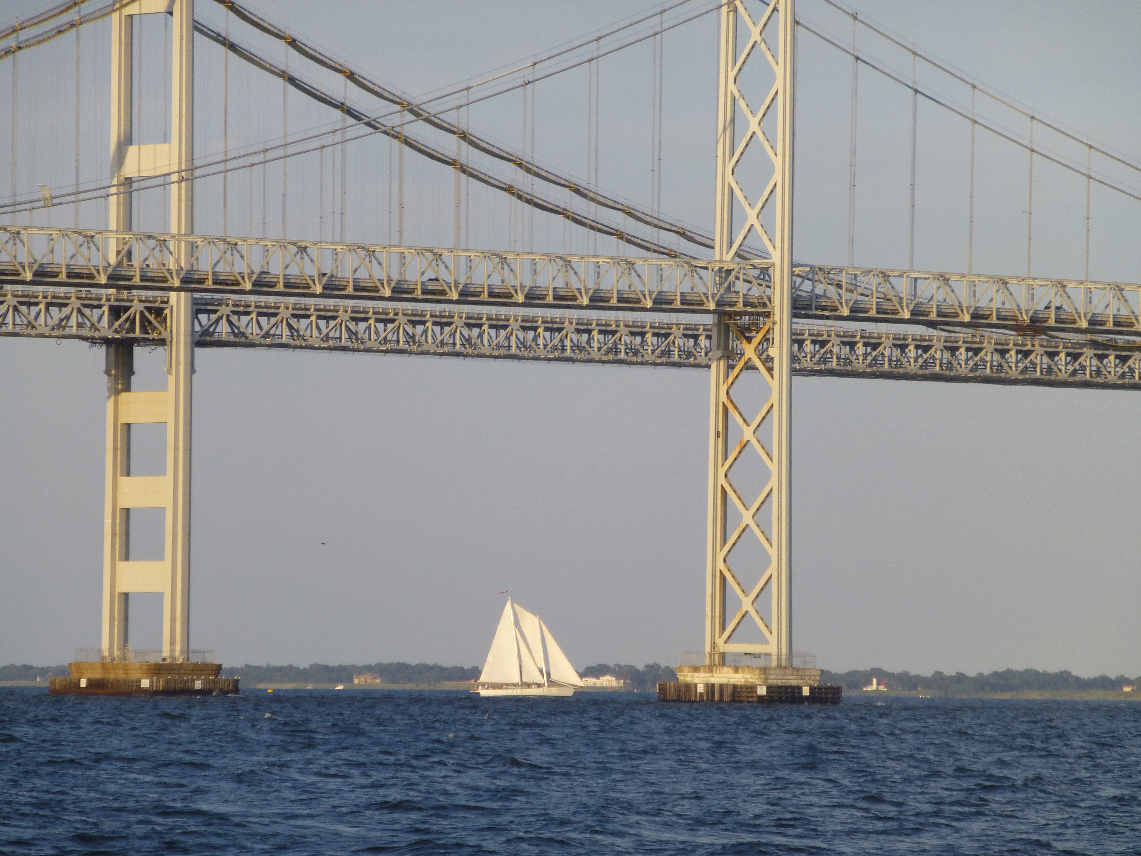 Woodwind Sailing under the Bay Bridge