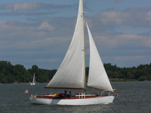 Sloop Kittiwake.