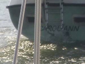 Too Funny. I saw this boat later in the day