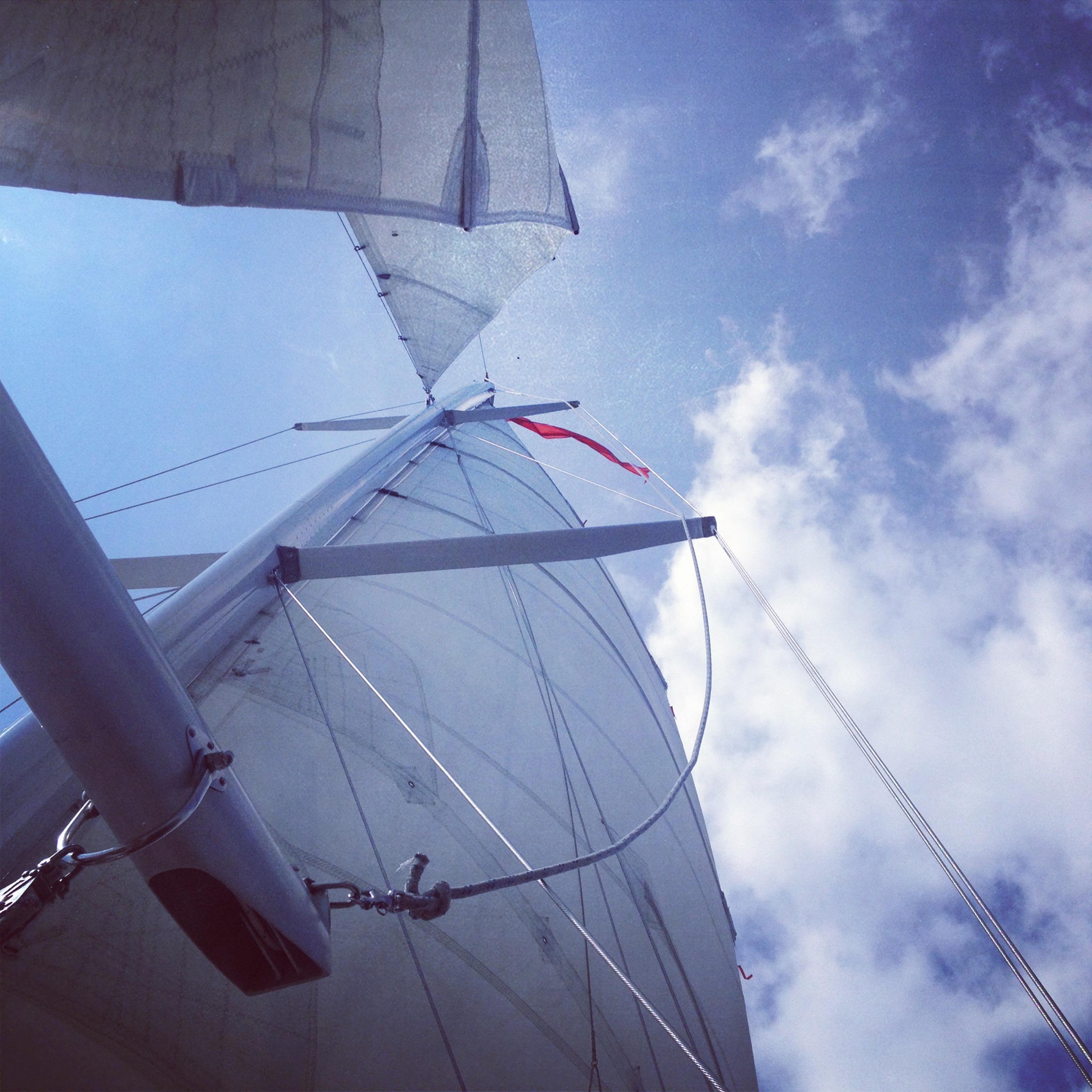 White sails and blue skies