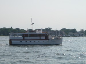 Manatee entering Annapoils Harbor