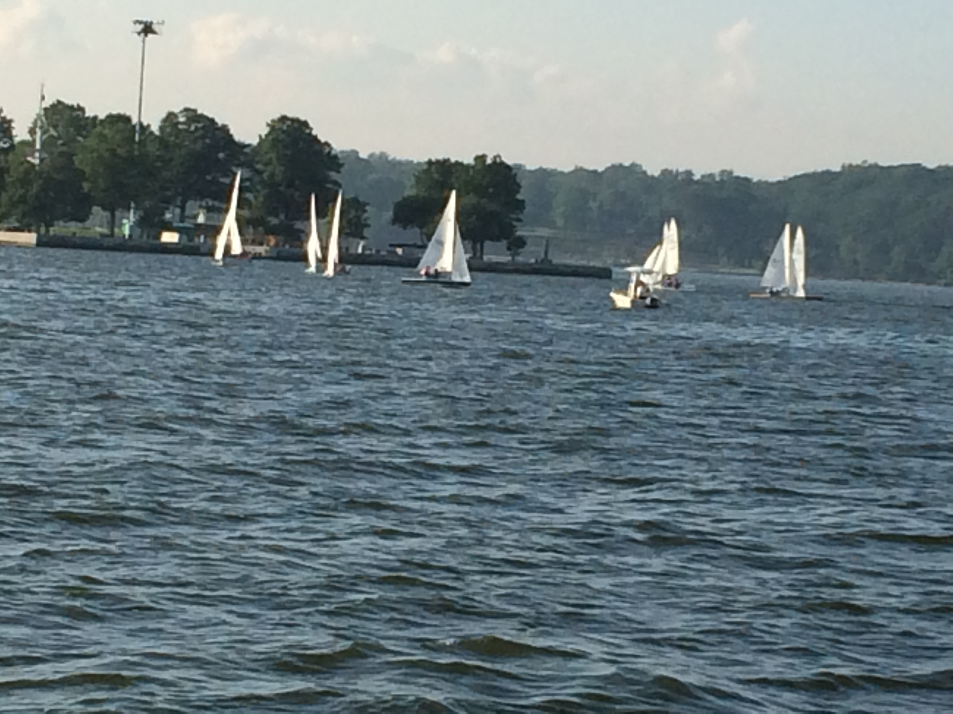Small white sailboats on the blue Chesapeake