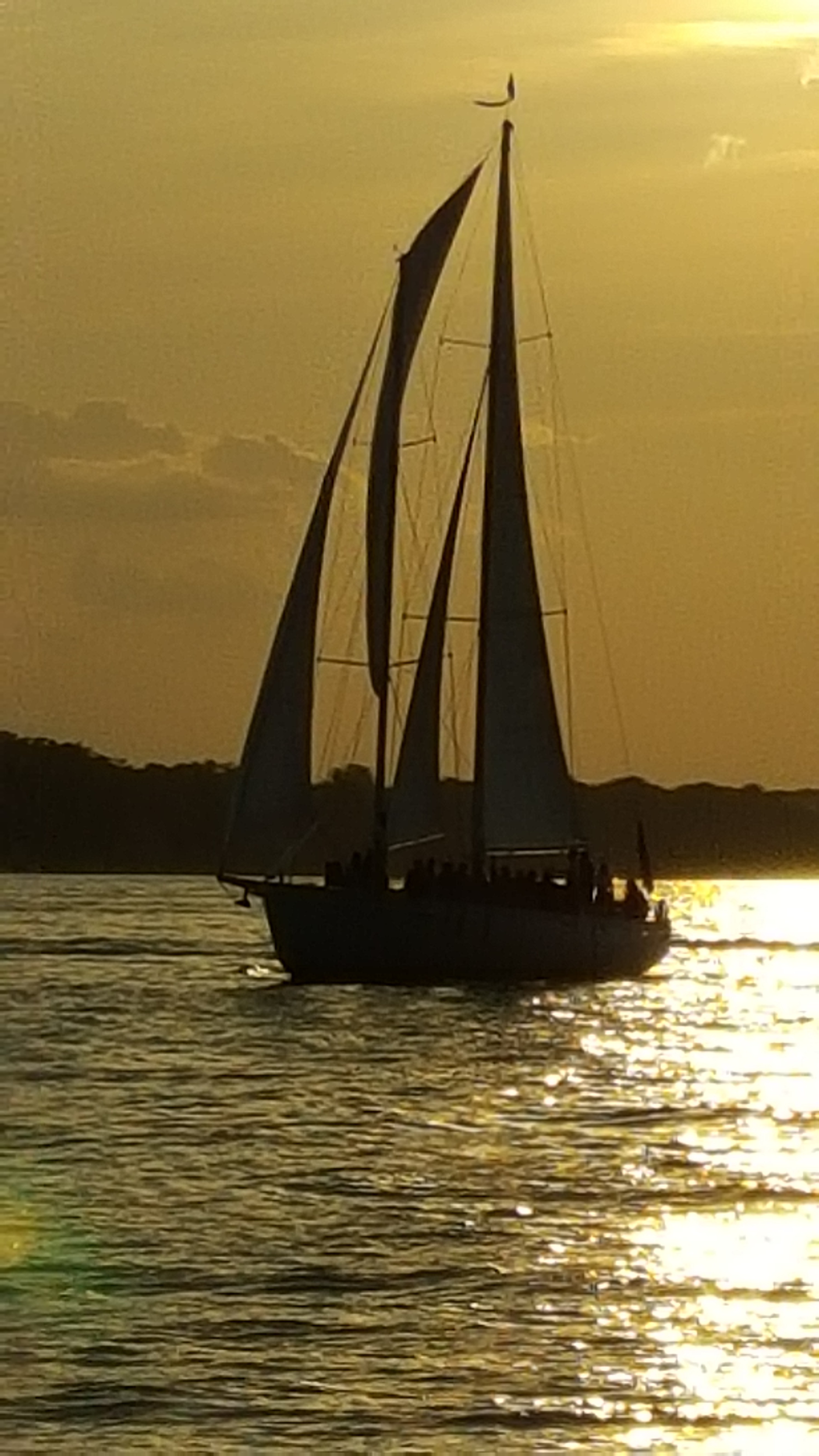 Schooner sailing in sunset with golden glow all around it