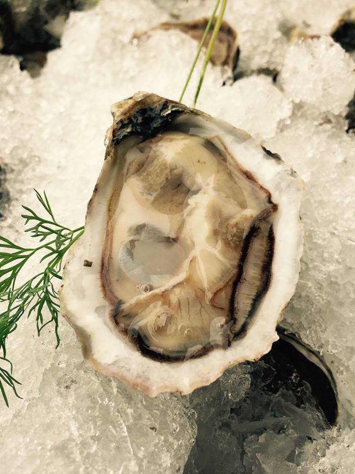 Raw Oyster on half shell on ice