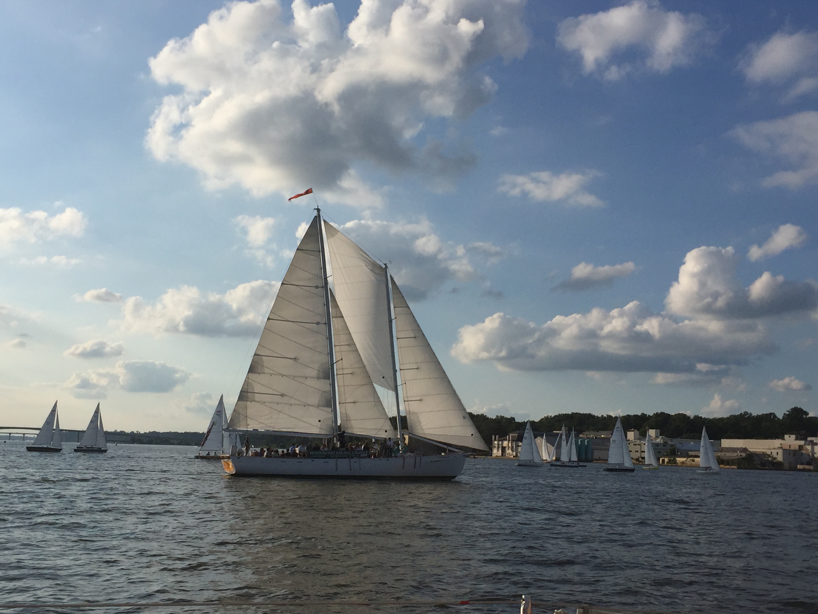 Schooner sailing among many sailboats on the bay