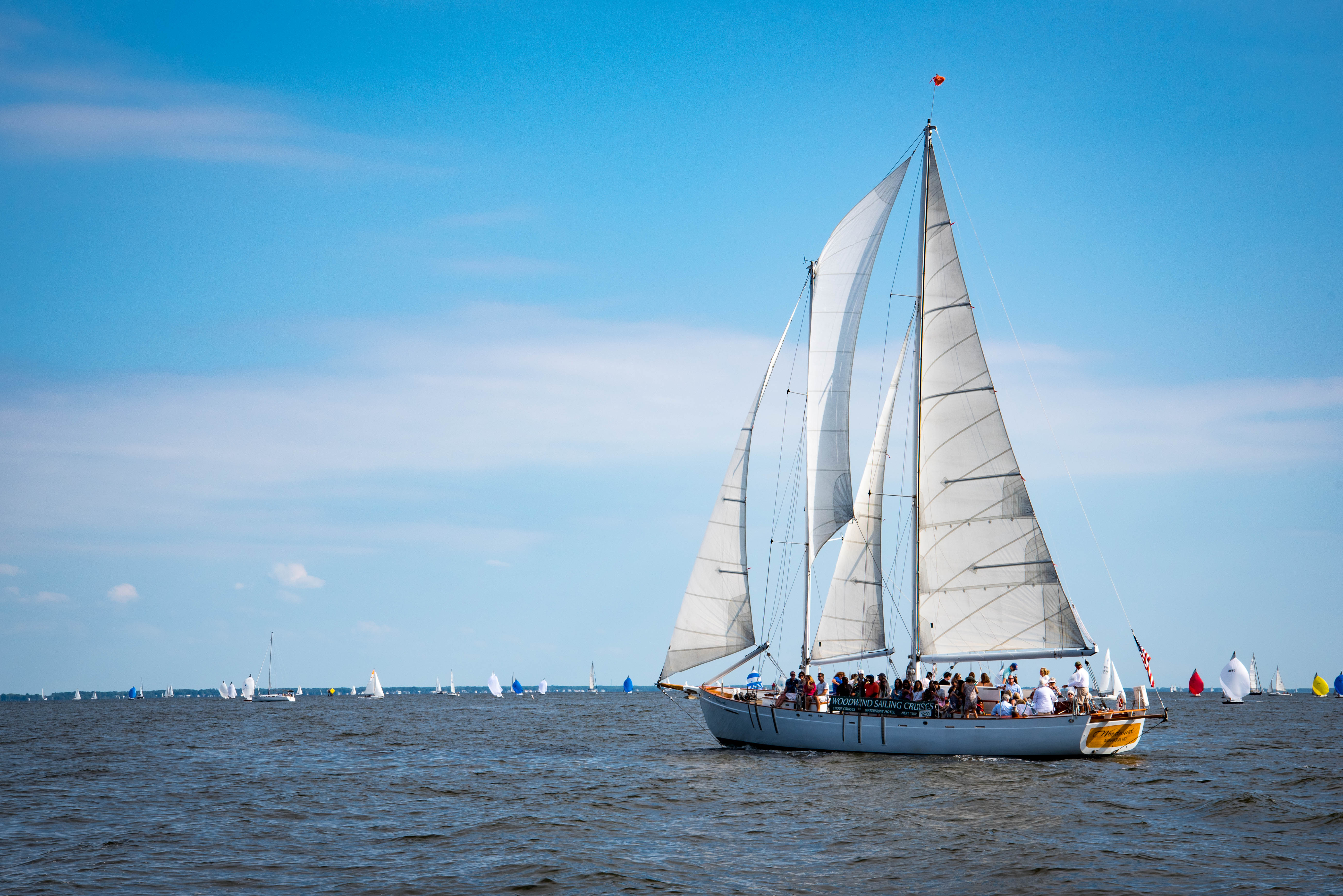 The schooner sailing among dozens of sailboats on the bay