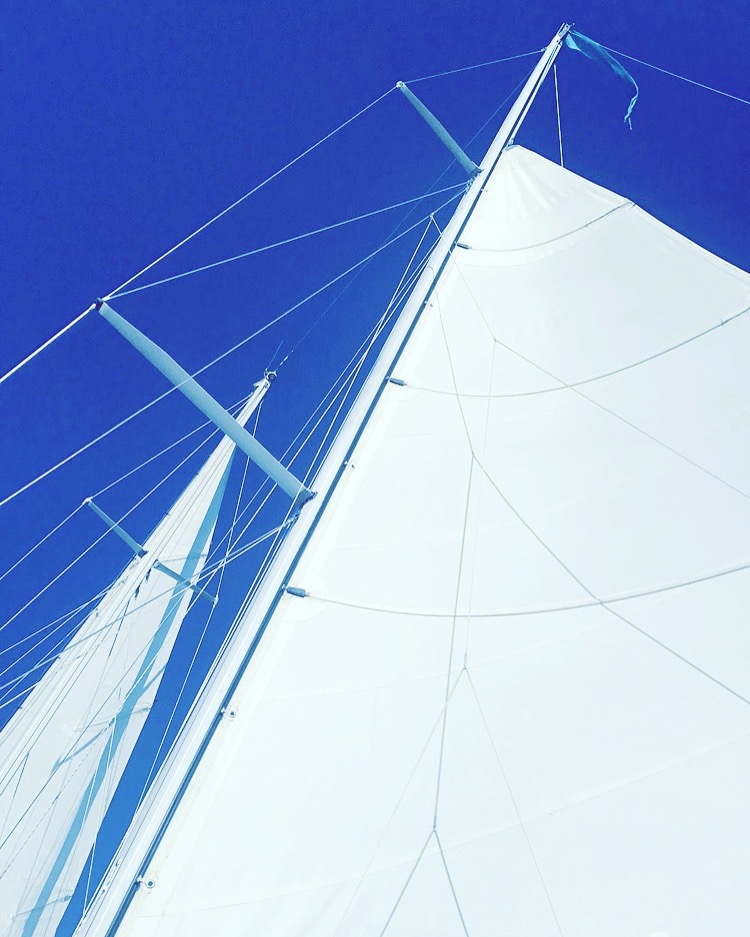 White sails against a brilliant clear blue sky