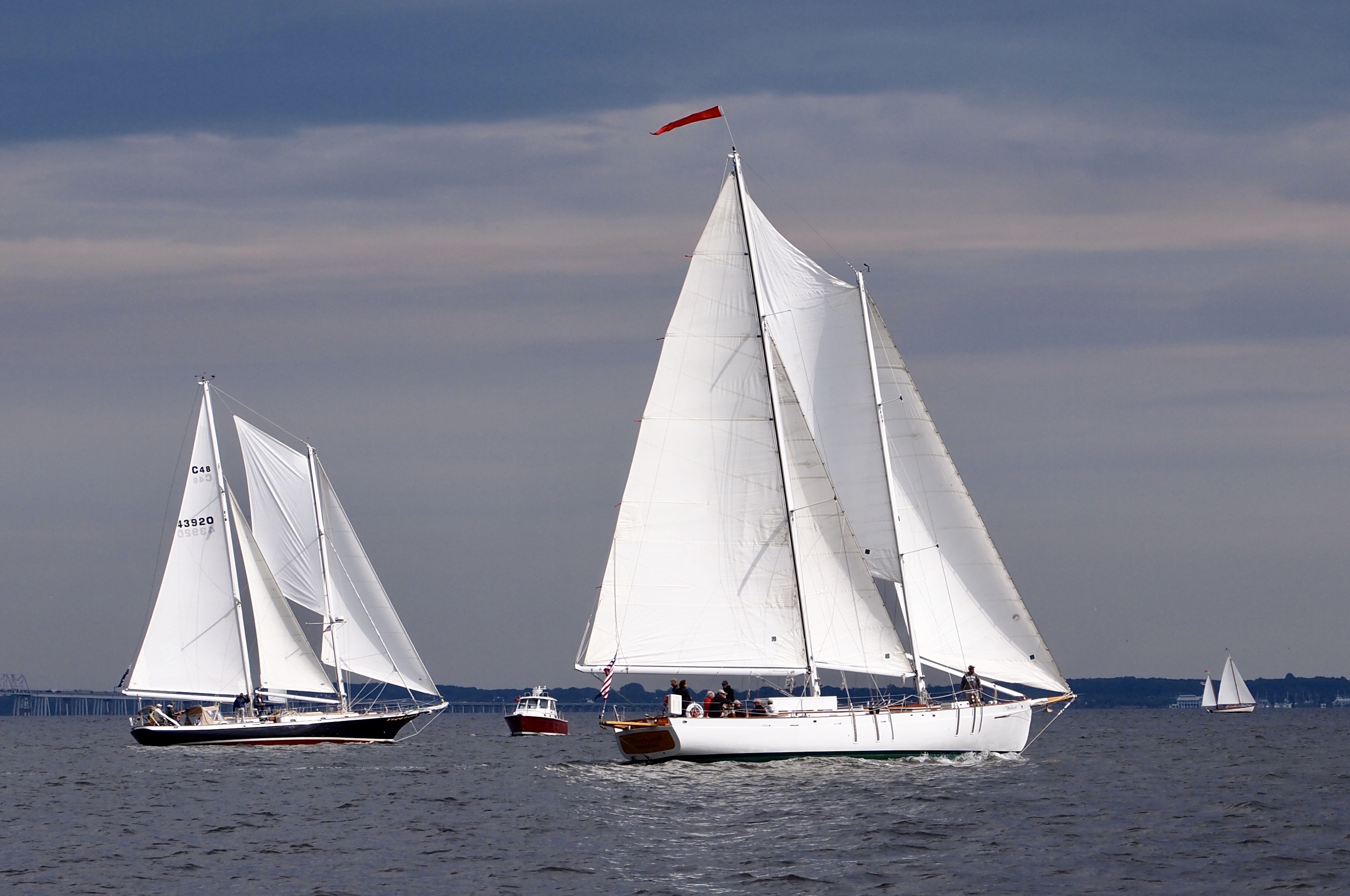 Different schooners on a dark cloudy day sailing on the bay