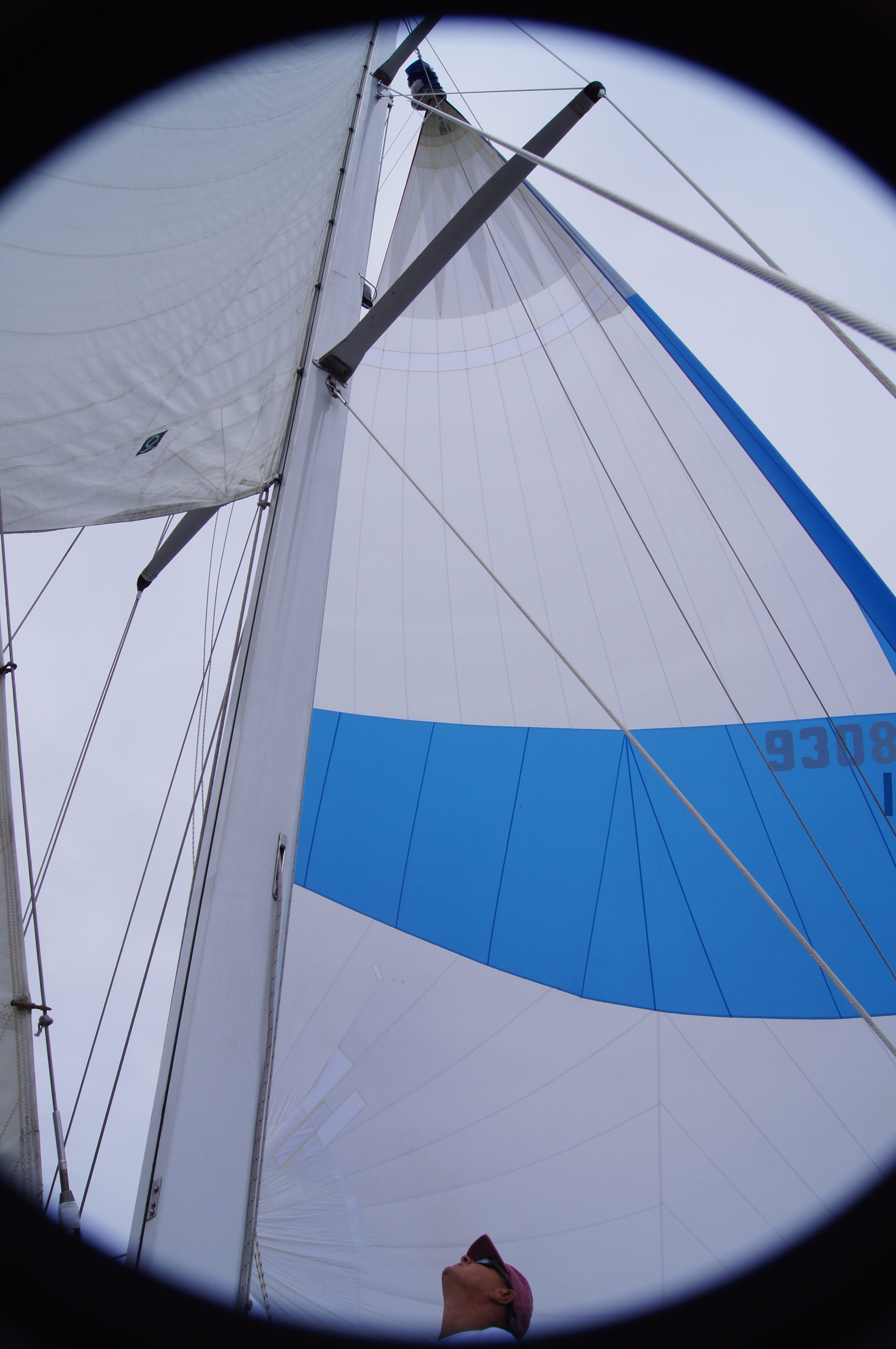 Captain looking up at Blue and White Sail on boat