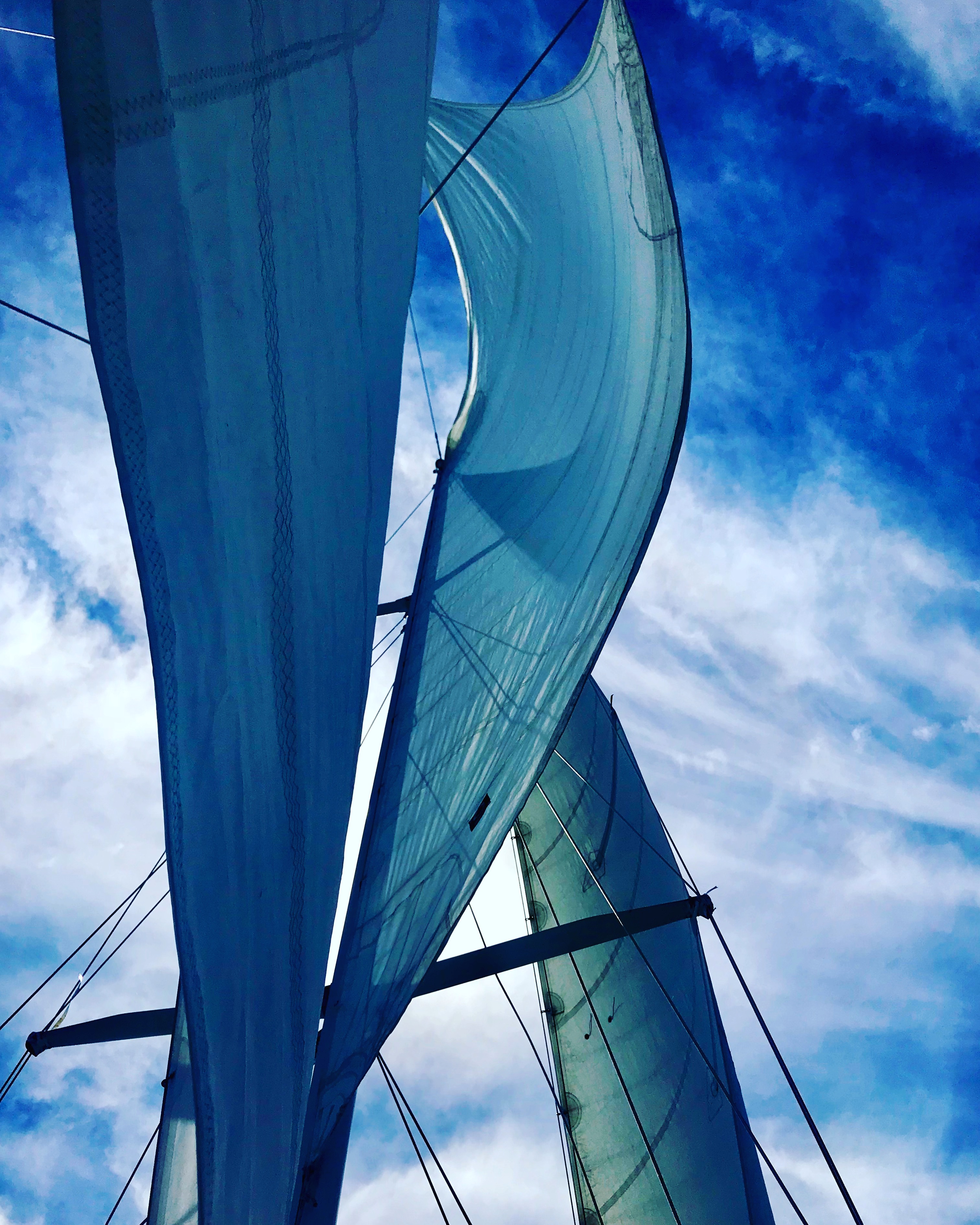 Looking up through the sails to a very blue sky turning the sails blue