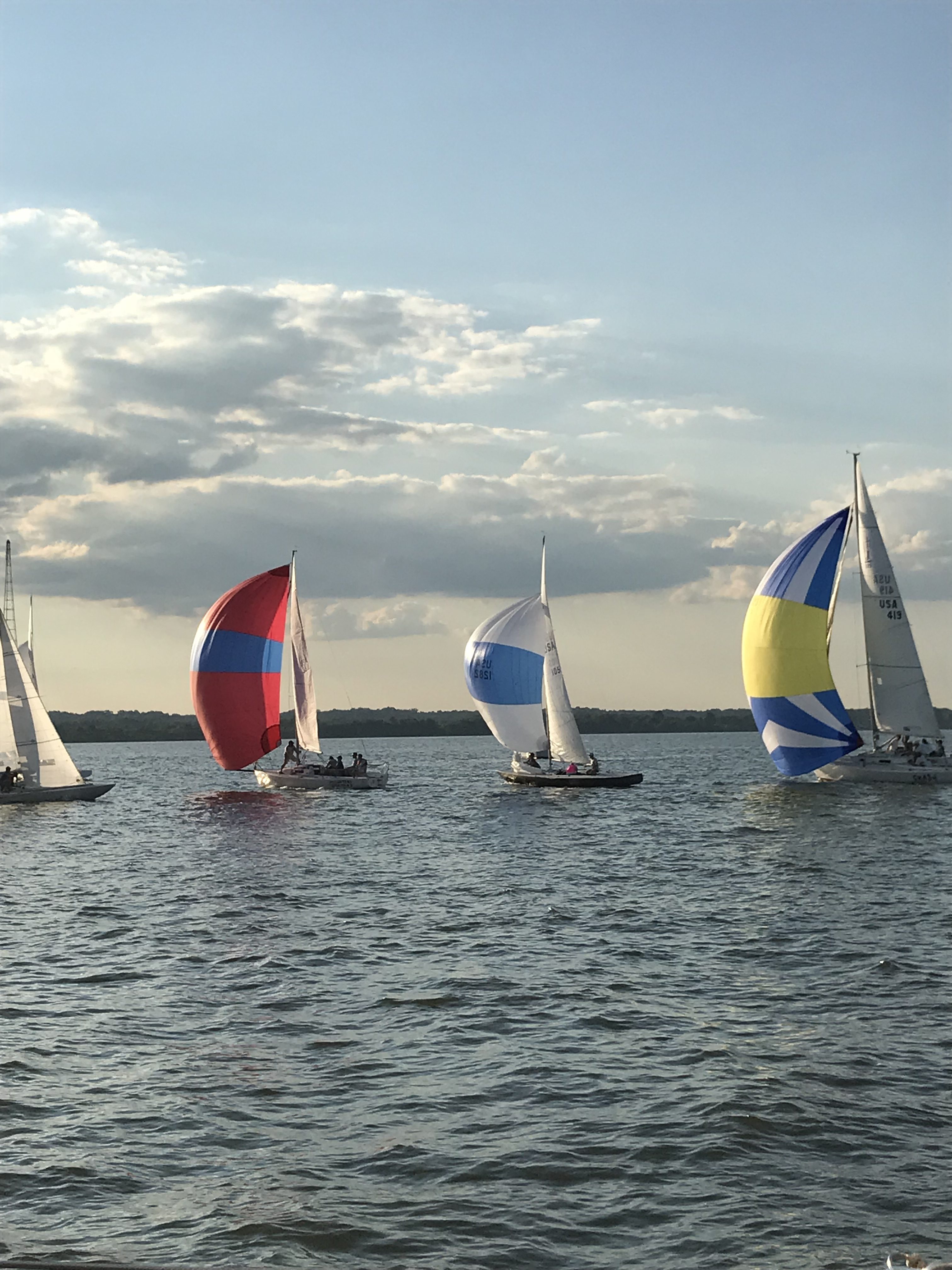 Colorful sailboats on the bay