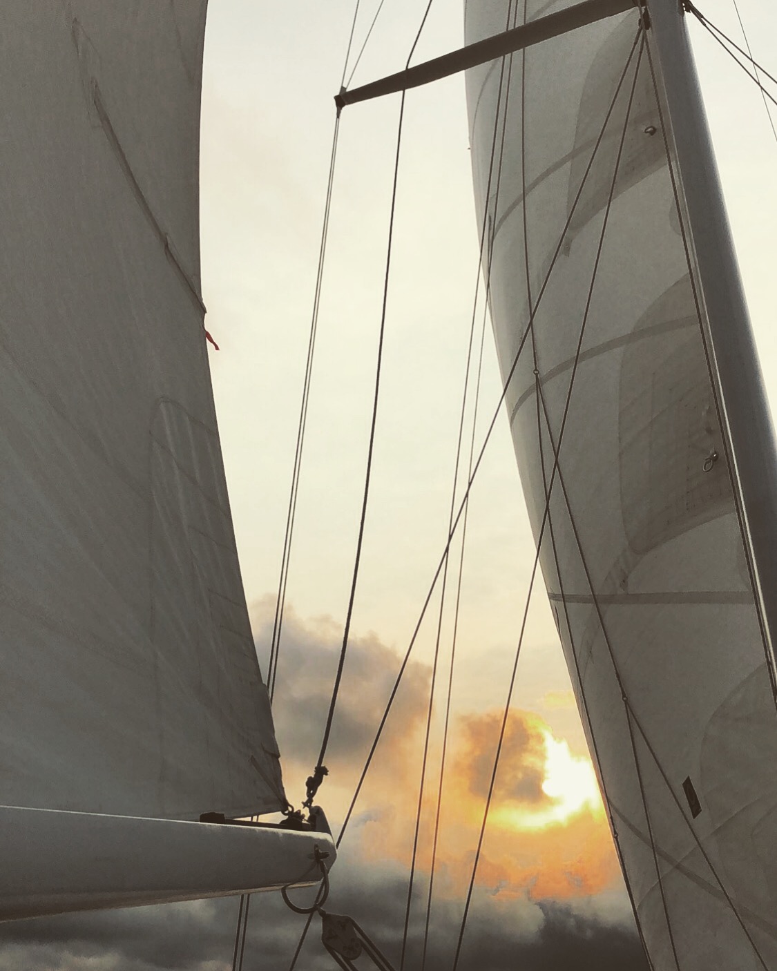 Sails framing a yellow sun and clouds