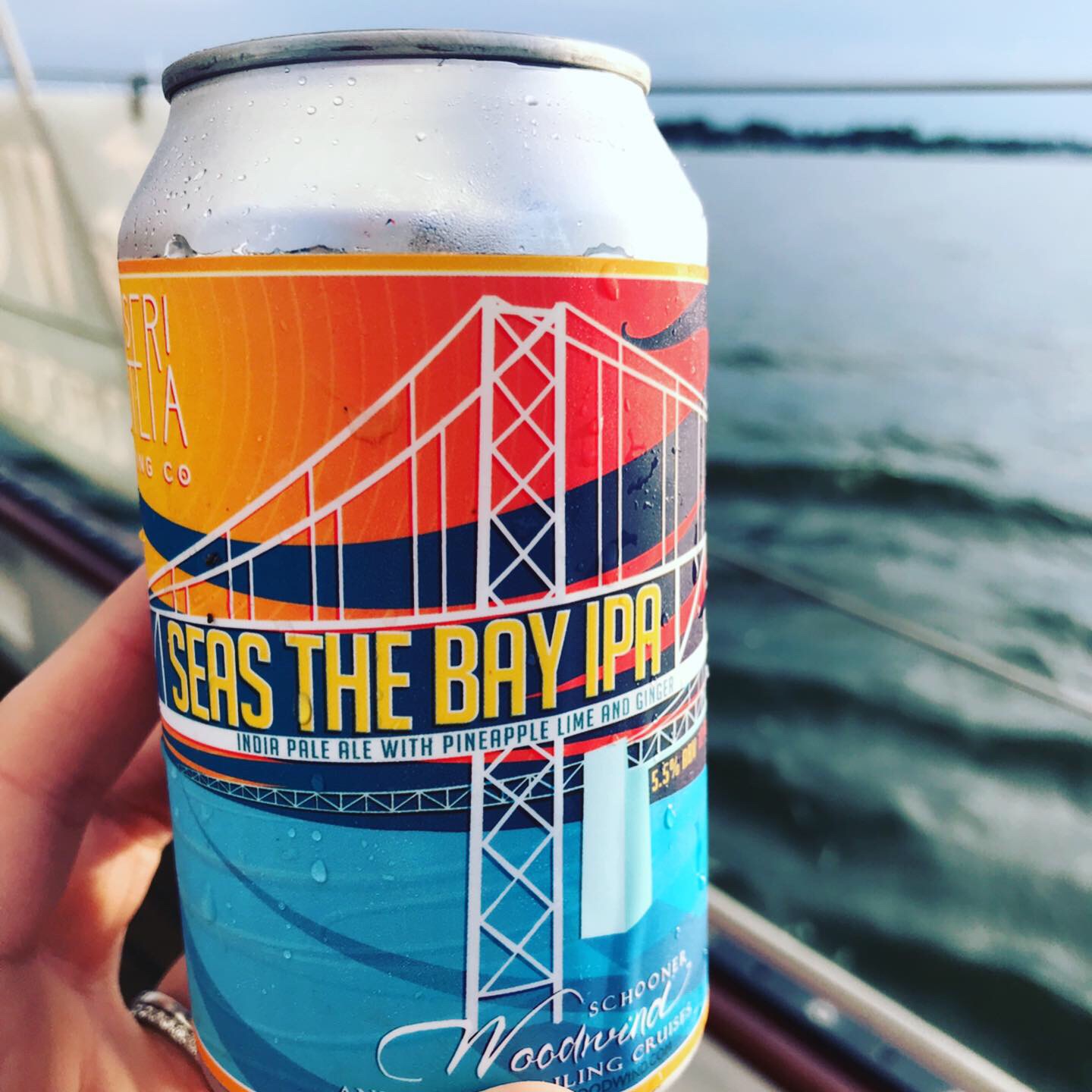 Cold can of Seas the Bay IPA