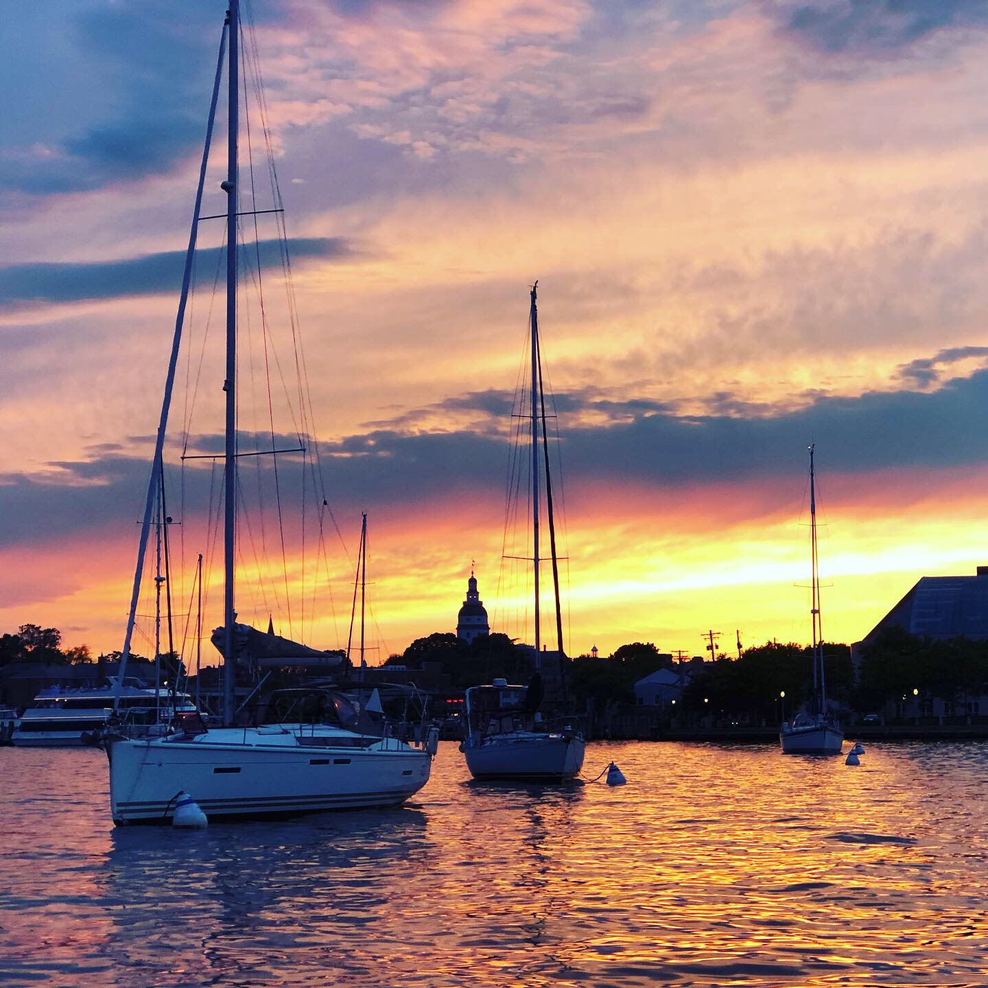 Sail boats moored at sunset with Capital Building in background