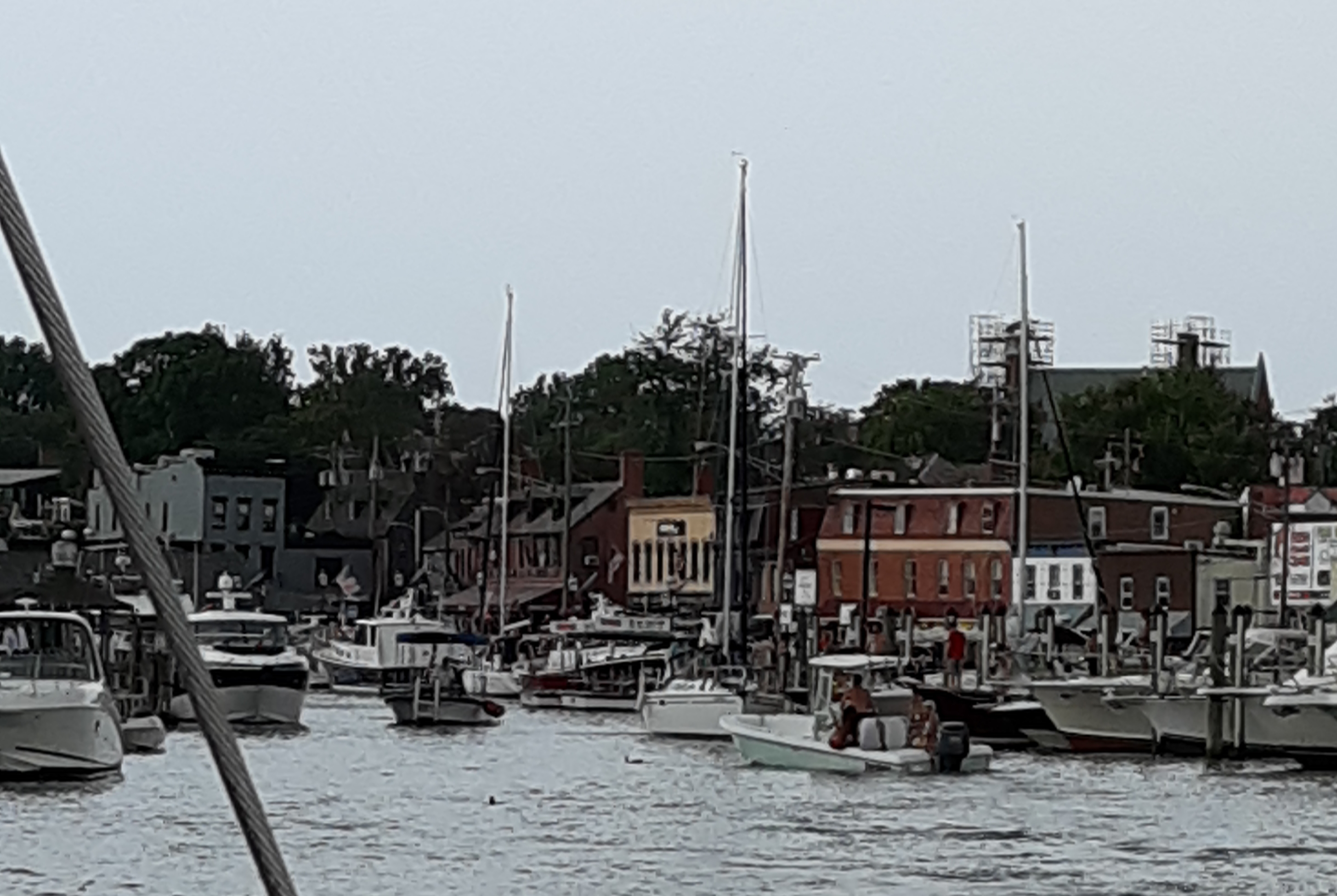 Annapolis Harbor full of boats