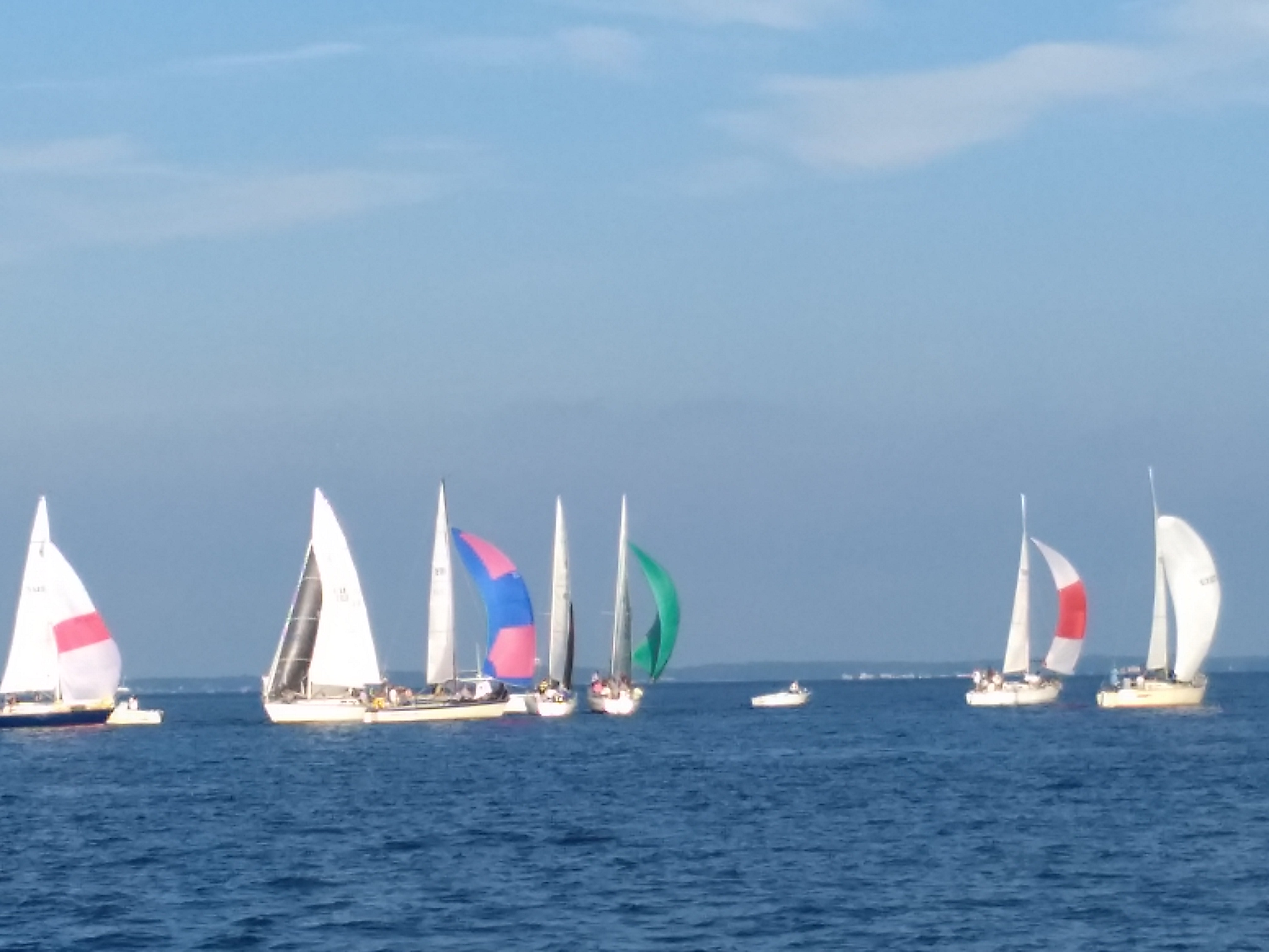 Colorful sailboats on the Bay for Wednesday race night