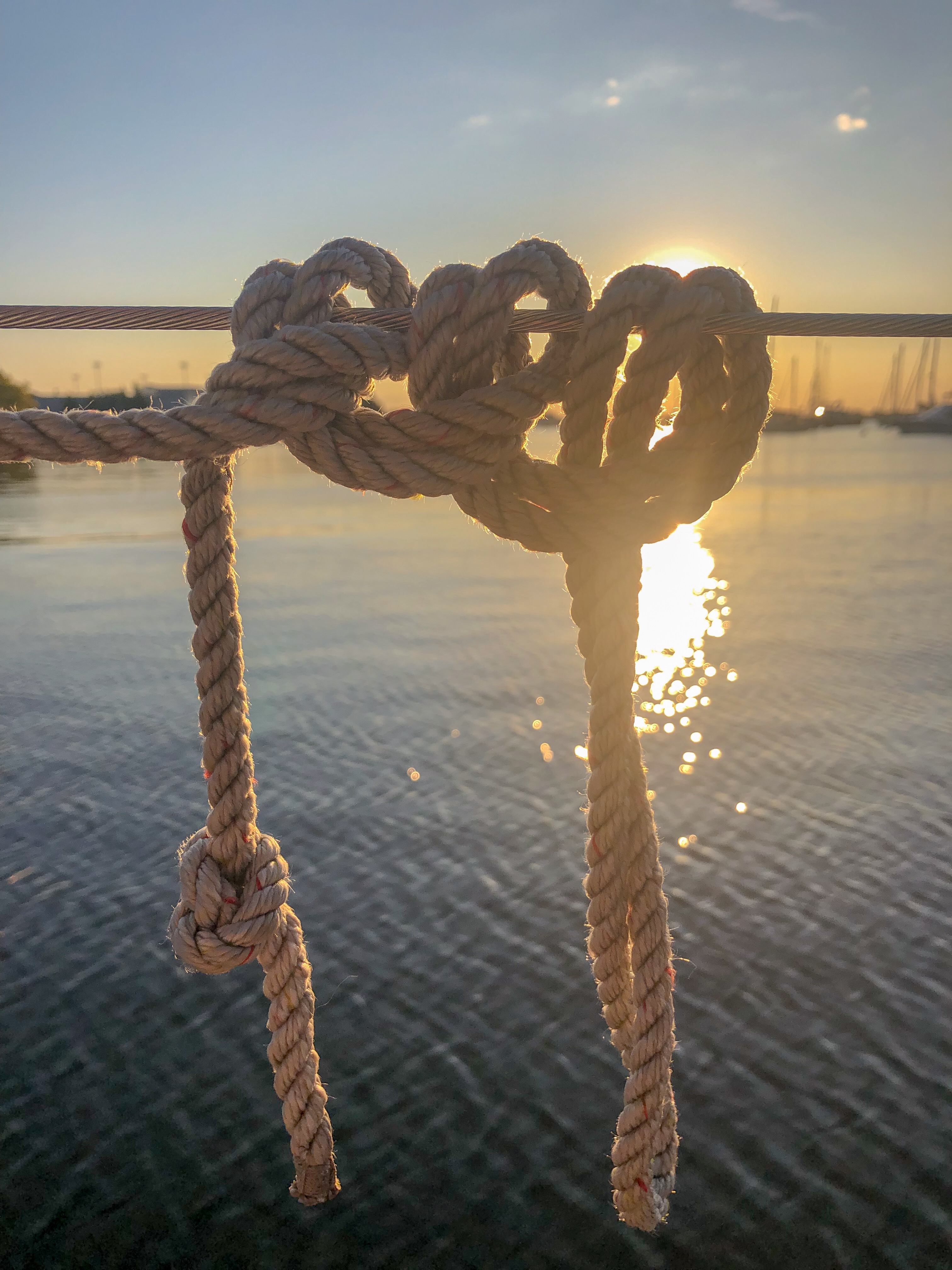 Knotted rope